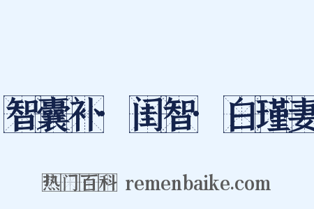 智囊补·闺智·白瑾妻是什么意思的图片